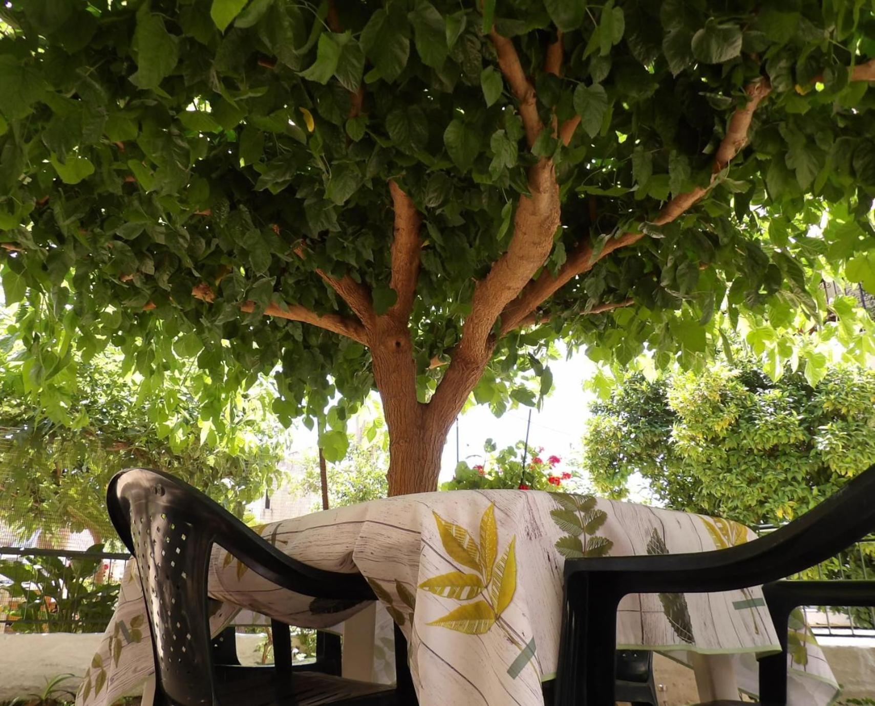 נאפפליו Vivari'S Family House מראה חיצוני תמונה